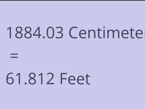 1884.03 CM TO FEET