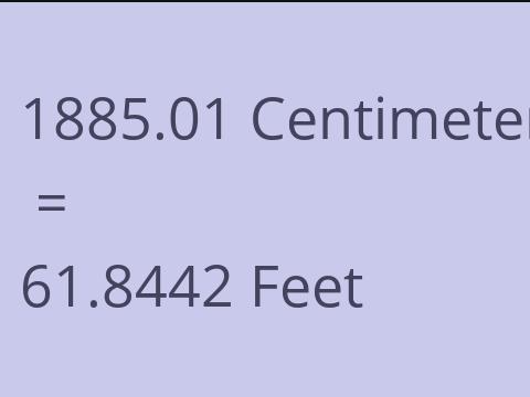 1885.01 CM TO FEET