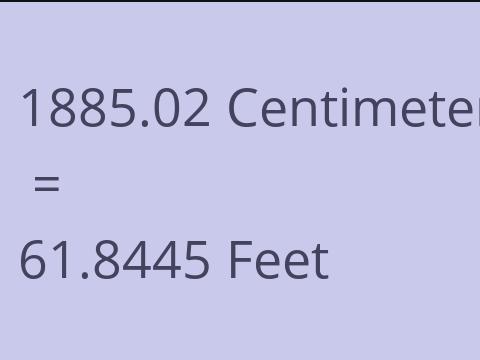 1885.02 CM TO FEET