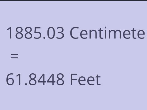 1885.03 CM TO FEET