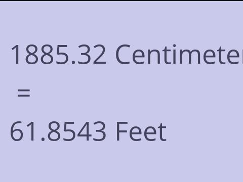 1885.32 CM TO FEET