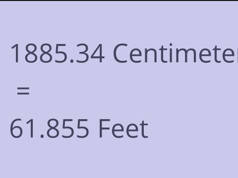 1885.34 CM TO FEET