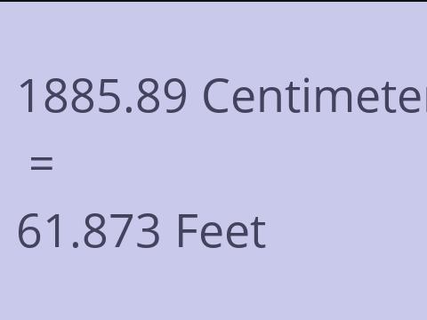 1885.89 CM TO FEET