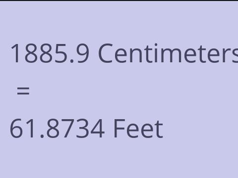 1885.9 CM TO FEET