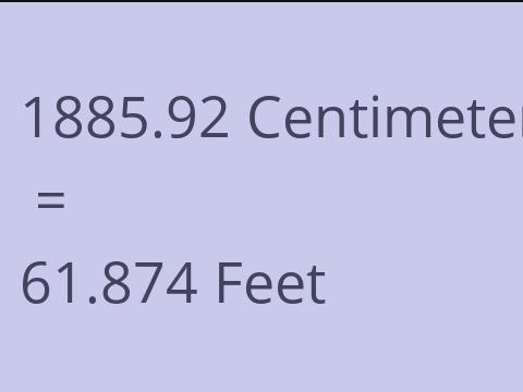 1885.92 CM TO FEET