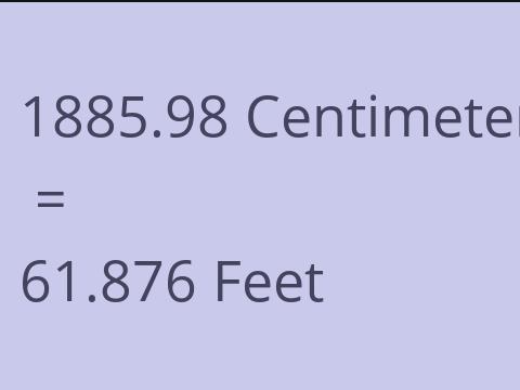 1885.98 CM TO FEET