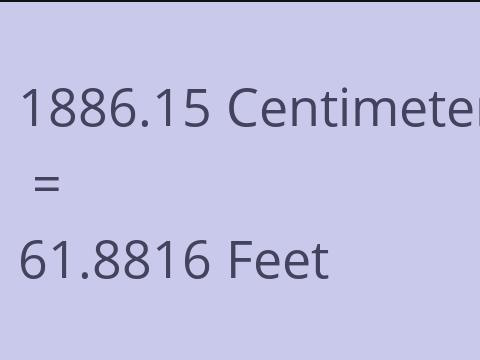 1886.15 CM TO FEET