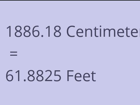 1886.18 CM TO FEET