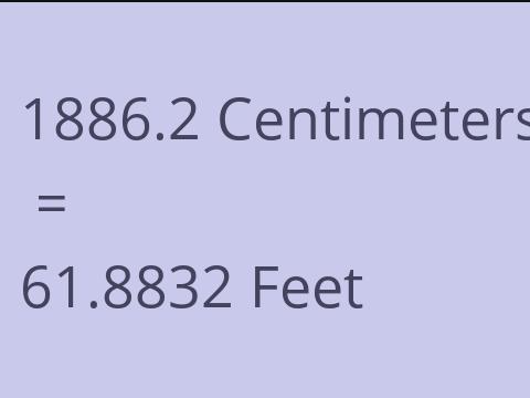 1886.2 CM TO FEET