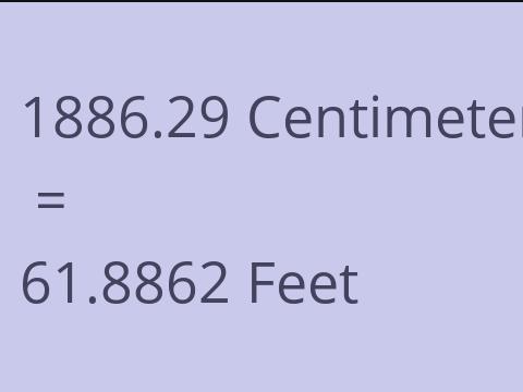 1886.29 CM TO FEET