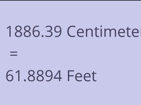 1886.39 CM TO FEET