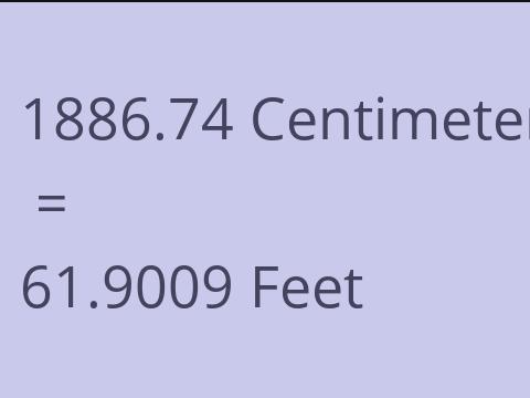 1886.74 CM TO FEET