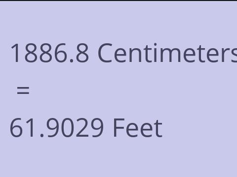 1886.8 CM TO FEET