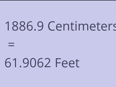 1886.9 CM TO FEET