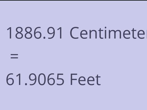 1886.91 CM TO FEET