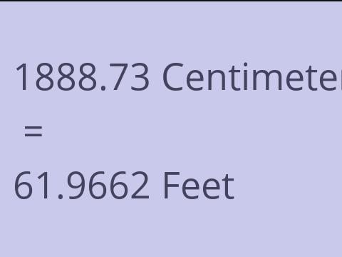 1888.73 CM TO FEET