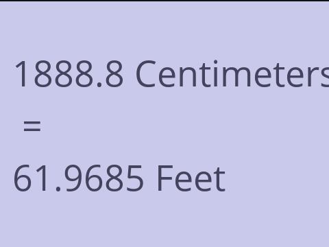 1888.8 CM TO FEET