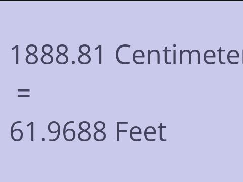 1888.81 CM TO FEET