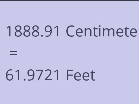 1888.91 CM TO FEET