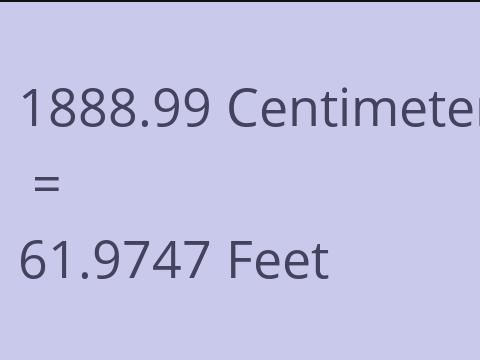 1888.99 CM TO FEET