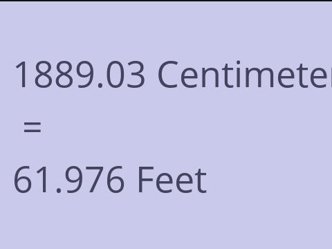 1889.03 CM TO FEET