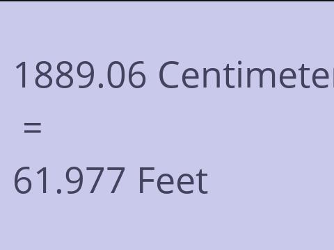 1889.06 CM TO FEET