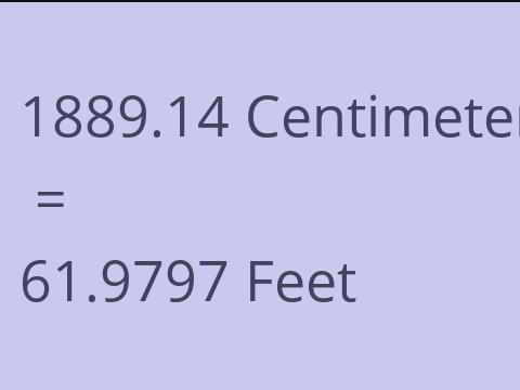 1889.14 CM TO FEET