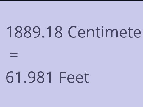 1889.18 CM TO FEET