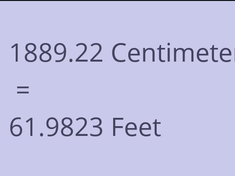 1889.22 CM TO FEET