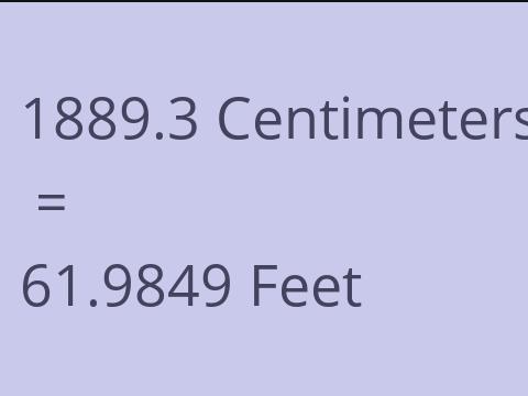 1889.3 CM TO FEET