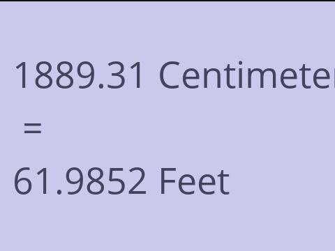 1889.31 CM TO FEET