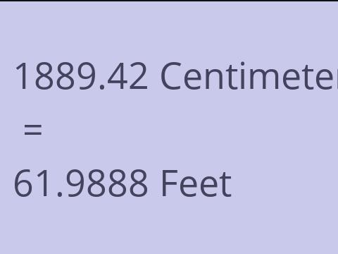 1889.42 CM TO FEET