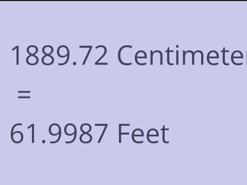 1889.72 CM TO FEET