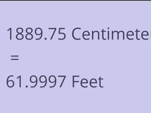 1889.75 CM TO FEET