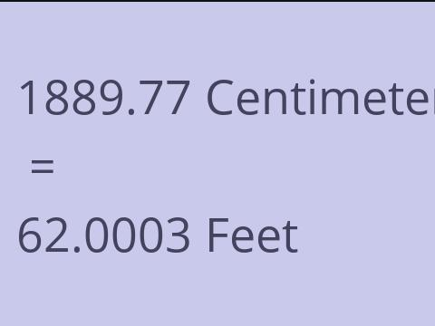 1889.77 CM TO FEET