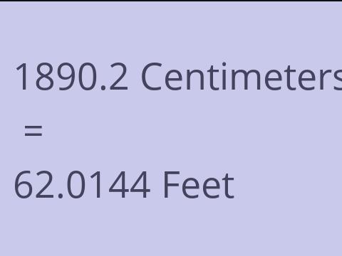 1890.2 CM TO FEET