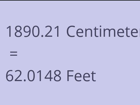 1890.21 CM TO FEET