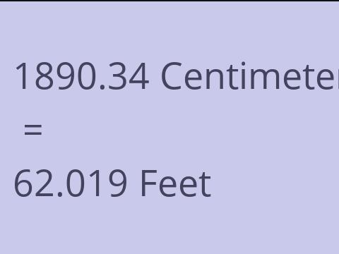 1890.34 CM TO FEET