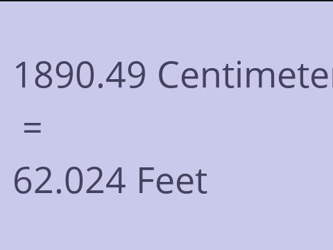 1890.49 CM TO FEET