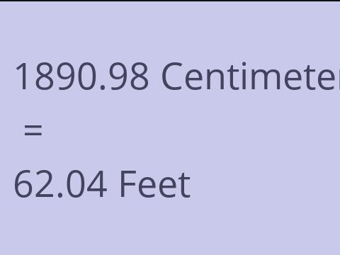 1890.98 CM TO FEET