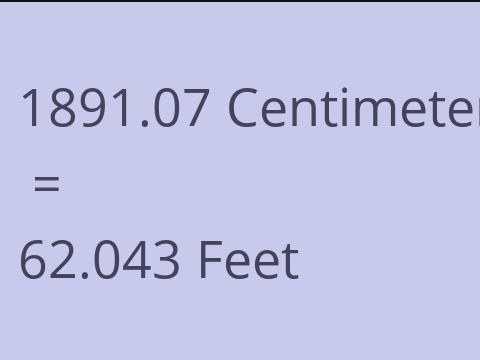 1891.07 CM TO FEET