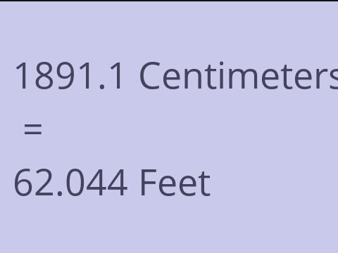 1891.1 CM TO FEET