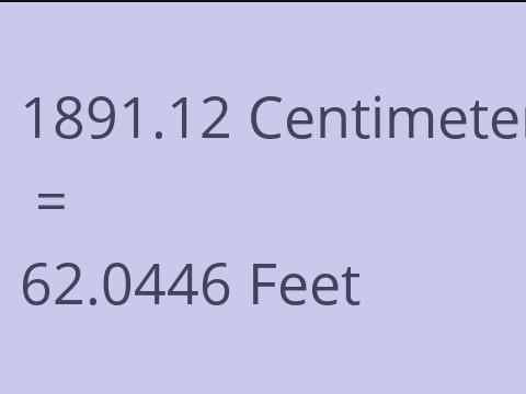 1891.12 CM TO FEET