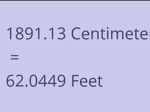 1891.13 CM TO FEET