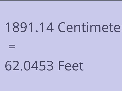 1891.14 CM TO FEET