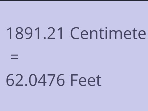 1891.21 CM TO FEET