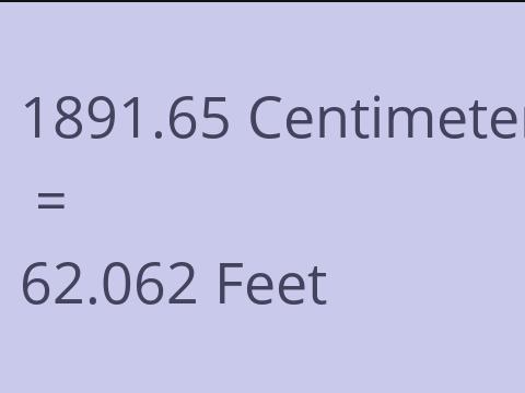 1891.65 CM TO FEET