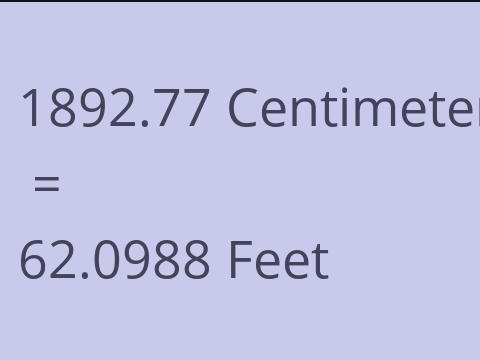 1892.77 CM TO FEET