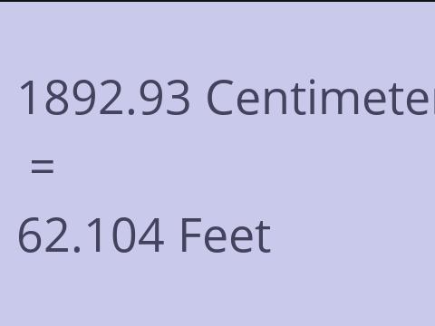 1892.93 CM TO FEET