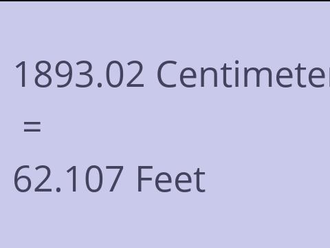 1893.02 CM TO FEET